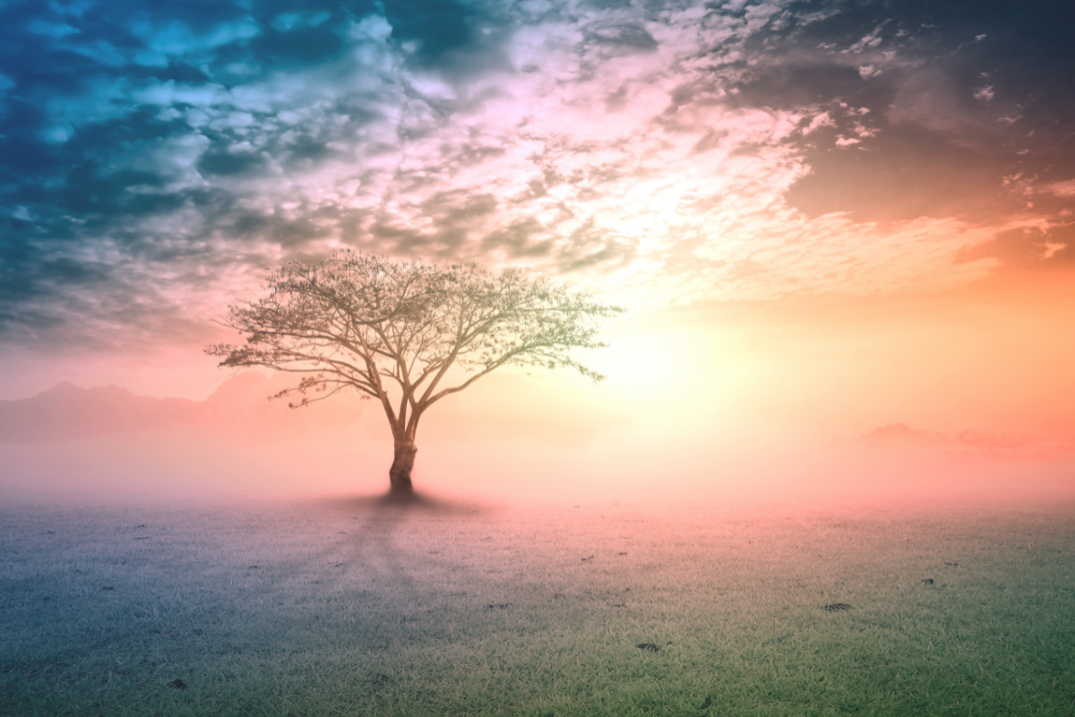 Solitary tree standing in a misty meadow at sunrise, with a dreamy pastel sky blending shades of pink, orange, and blue — symbolizing peace, spiritual awakening, and connection to nature.