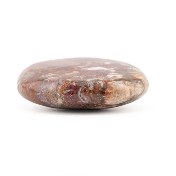 Piedra de palma de madera petrificada natural - Cristal curativo pulido, piedra preciosa terapéutica ovalada