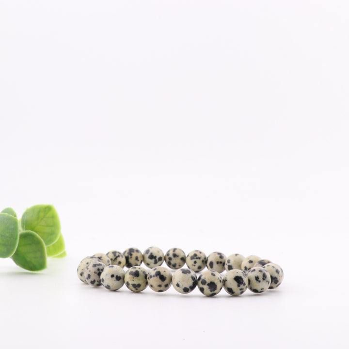Pulsera de jaspe dálmata natural (sin metal). Piedra preciosa de 8 mm.