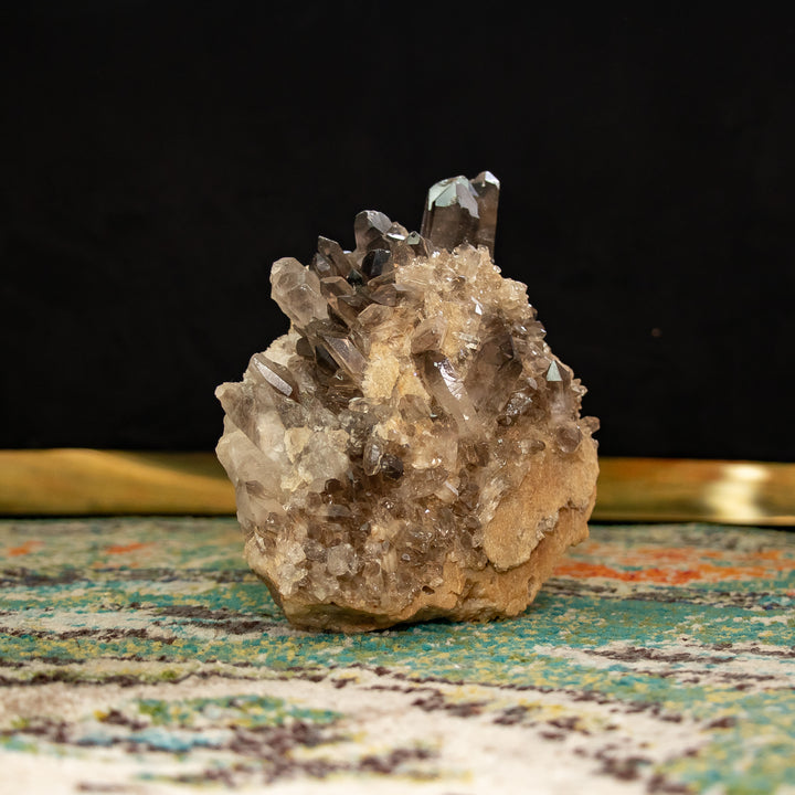 Smoky Quartz Cluster with Sandstone Matrix – (6.6 lbs)