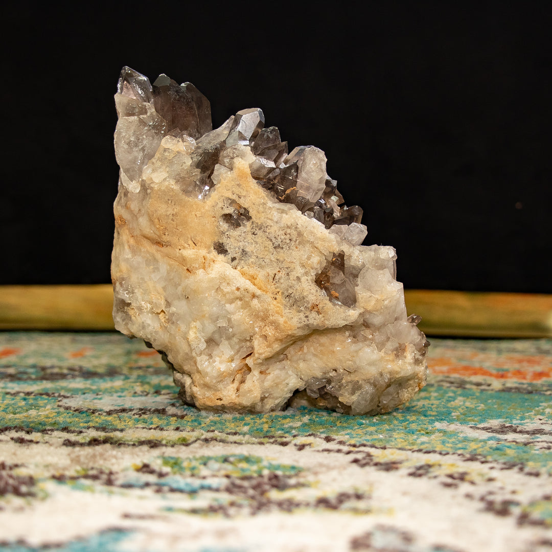Smoky Quartz Cluster with Sandstone Matrix – (6.6 lbs)