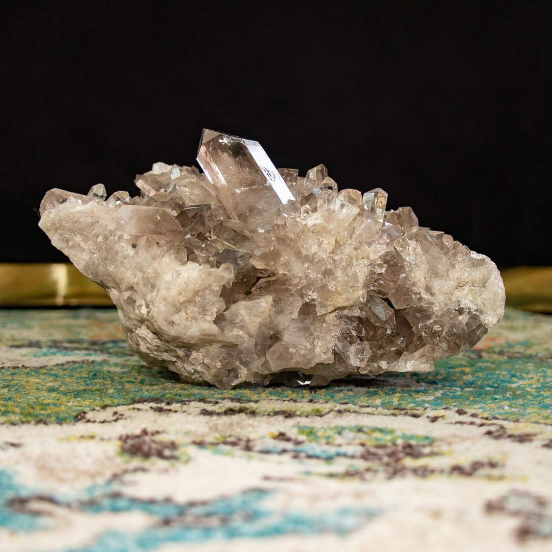 "Titan Root" – Smoky Quartz Cluster for Grounding & Protection (12.2 lbs)