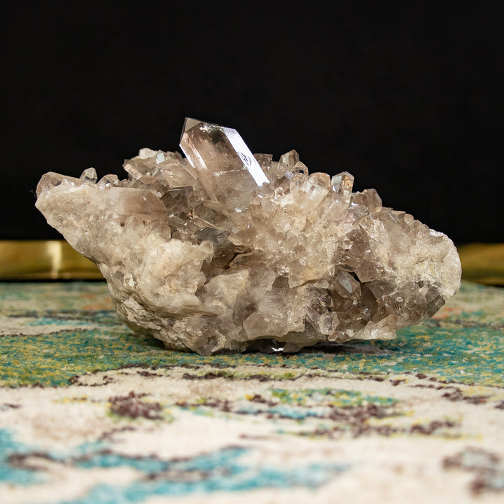 "Titan Root" – Smoky Quartz Cluster for Grounding & Protection (12.2 lbs)