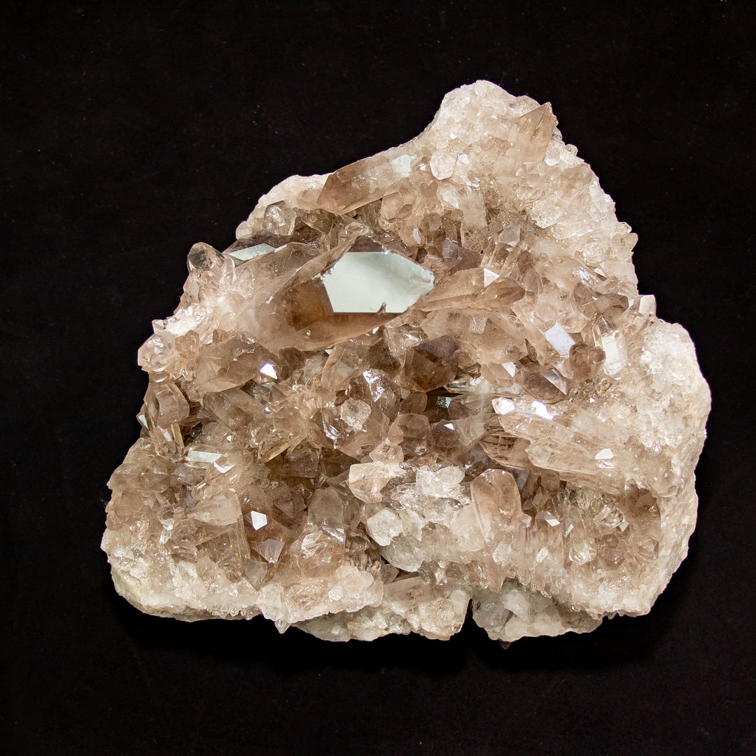 "Titan Root" – Smoky Quartz Cluster for Grounding & Protection (12.2 lbs)