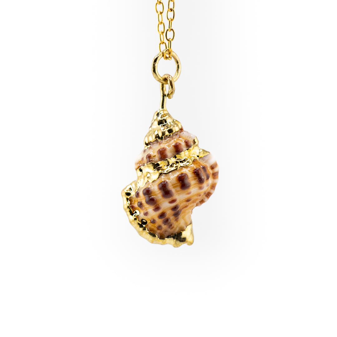Nature-Inspired Elegance Sea Shell Shaped Pendant – Embrace Serenity