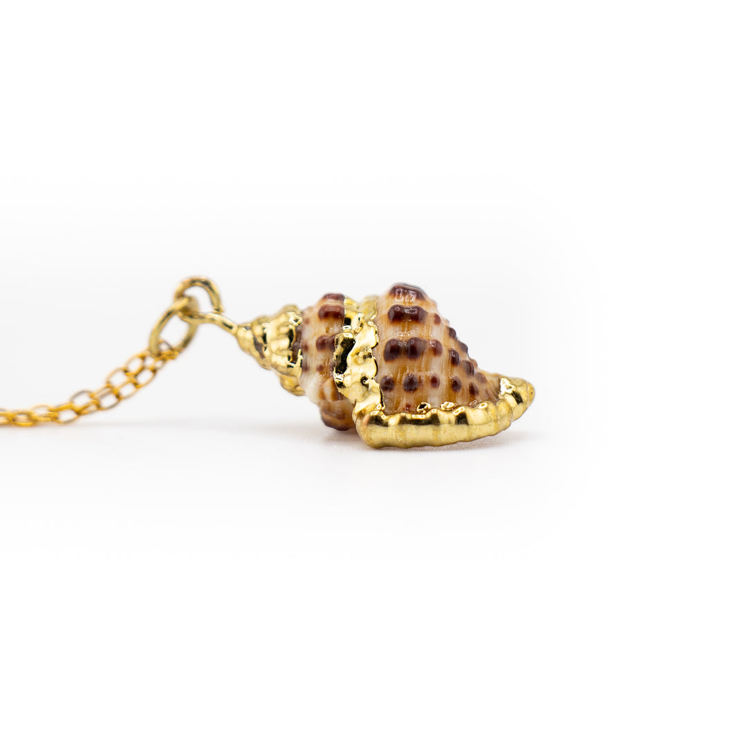 Nature-Inspired Elegance Sea Shell Shaped Pendant – Embrace Serenity