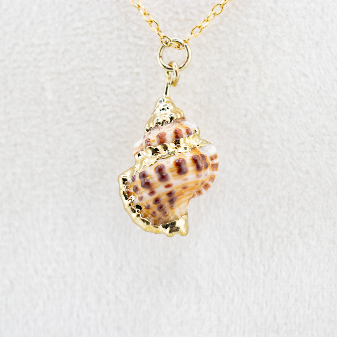 Nature-Inspired Elegance Sea Shell Shaped Pendant – Embrace Serenity
