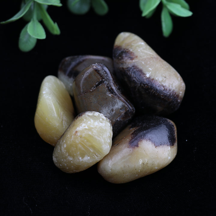 Piedra natural septaria pulida: piedras pulidas para el bienestar y la sanación espiritual