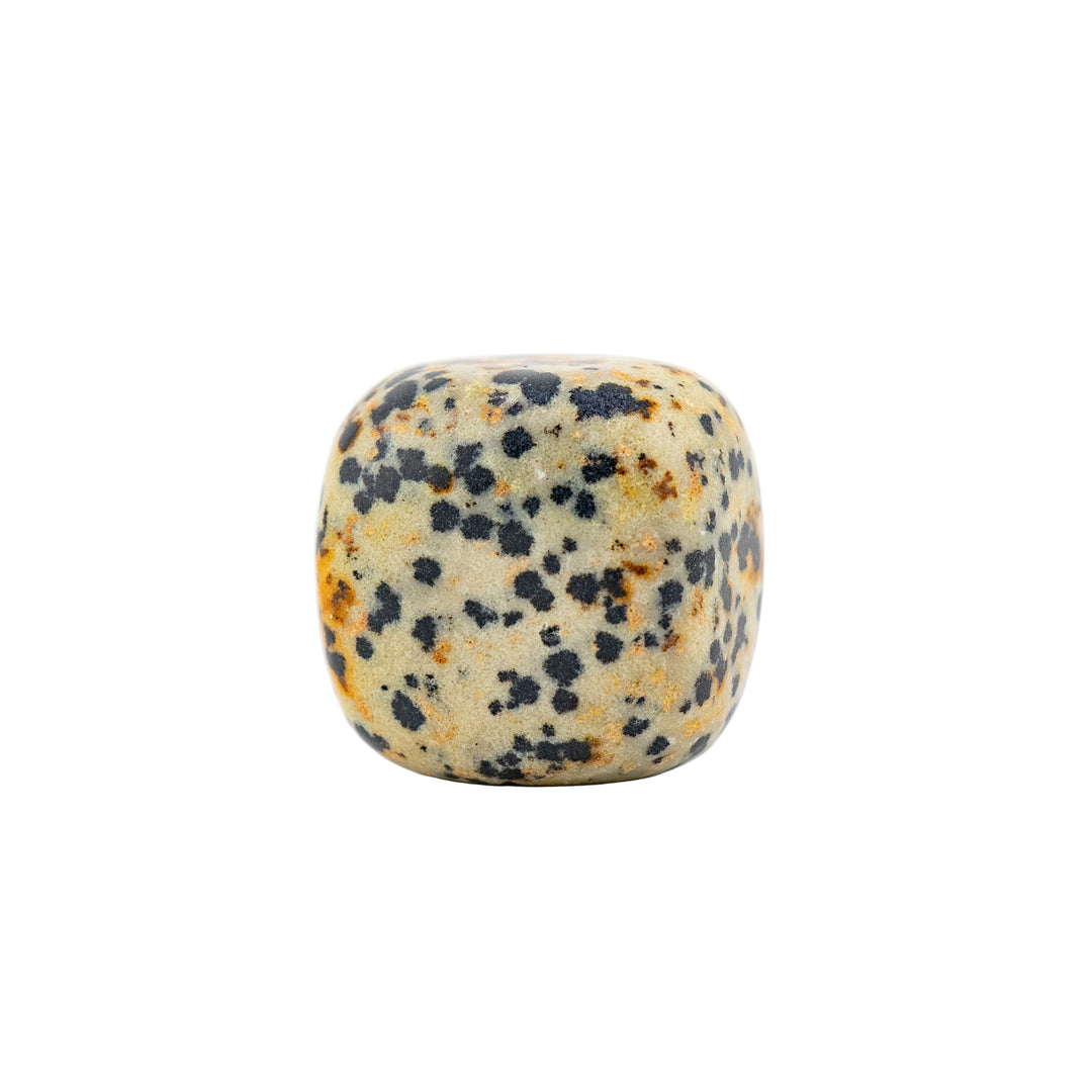 Jaspe dalmatien naturel roulé – Cristaux polis pour une ambiance positive et élégante