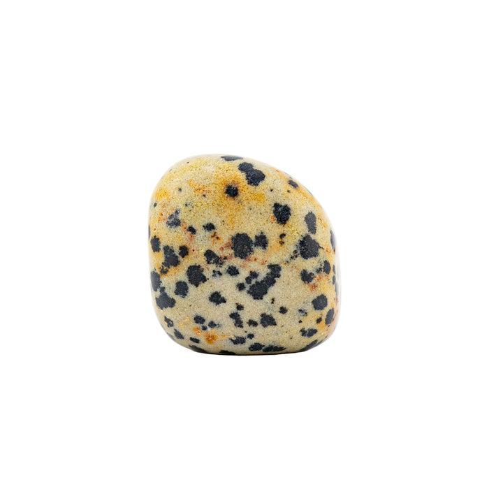 Jaspe dalmatien naturel roulé – Cristaux polis pour une ambiance positive et élégante