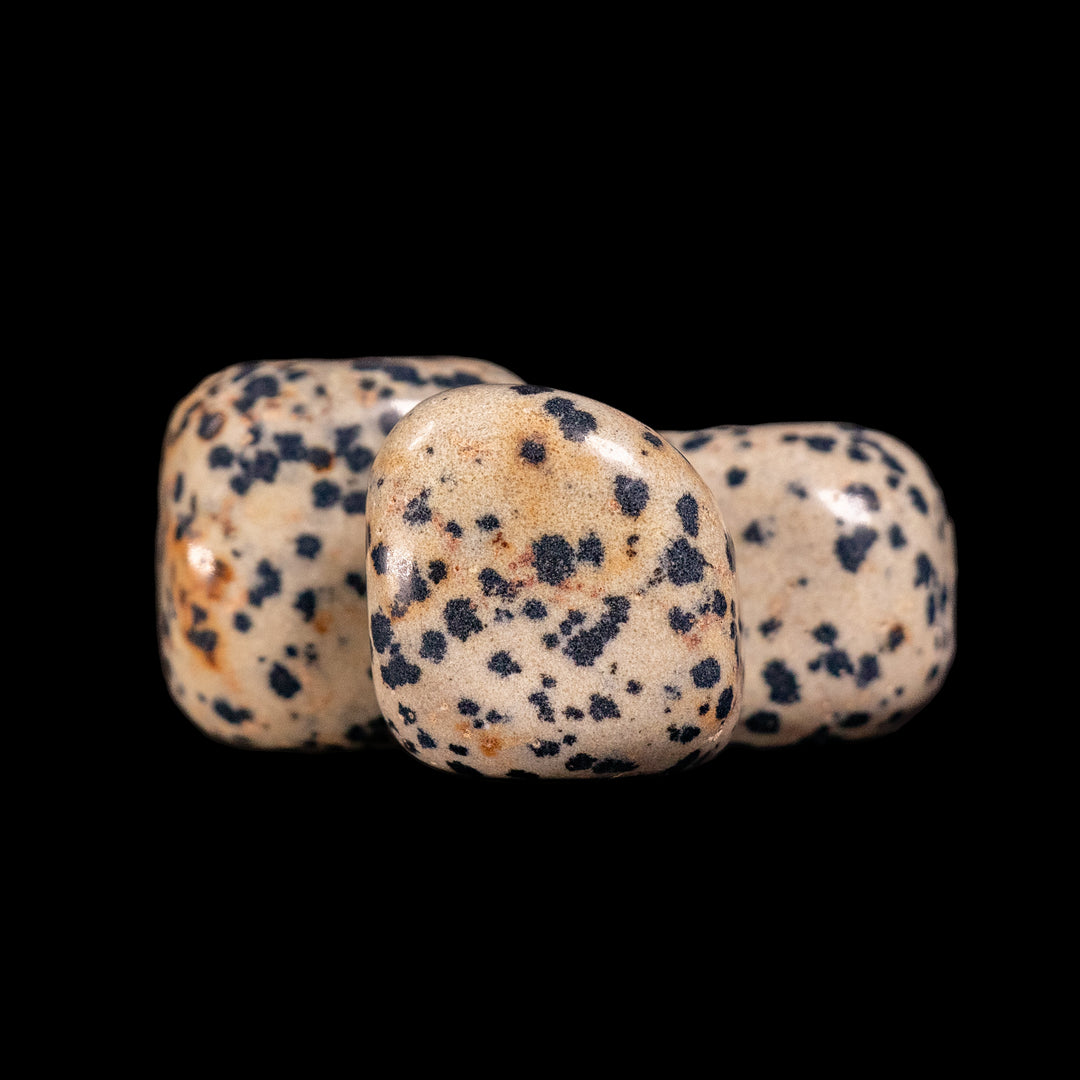 Jaspe dalmatien naturel roulé – Cristaux polis pour une ambiance positive et élégante