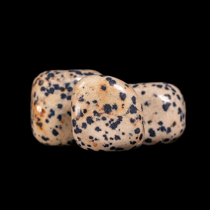 Jaspe dalmatien naturel roulé – Cristaux polis pour une ambiance positive et élégante