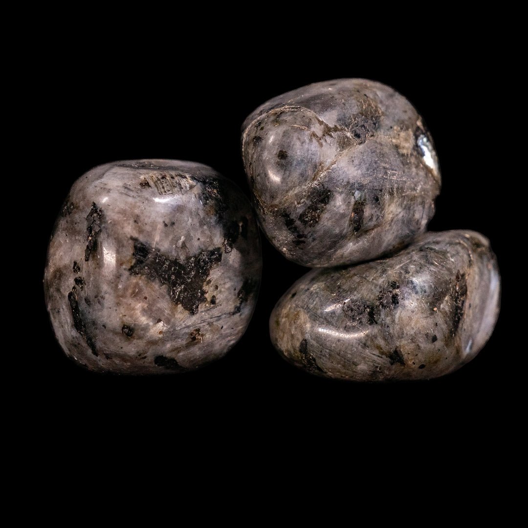 Piedra pulida de larvikita natural: gemas pulidas para un equilibrio espiritual y una decoración elegante