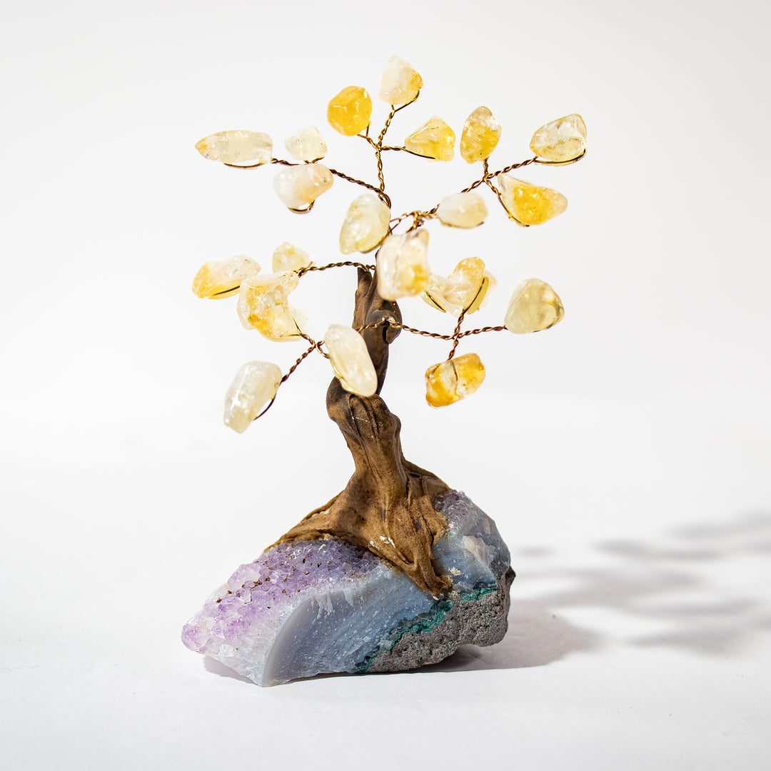 Mini arbre à pierres précieuses en citrine avec base en améthyste – 10 à 12 cm