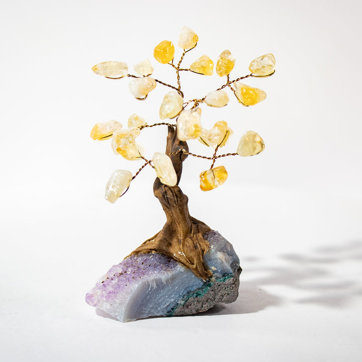 Mini arbre à pierres précieuses en citrine avec base en améthyste – 10 à 12 cm