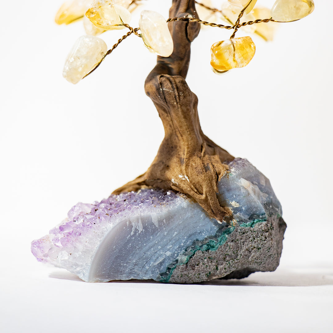 Mini arbre à pierres précieuses en citrine avec base en améthyste – 10 à 12 cm