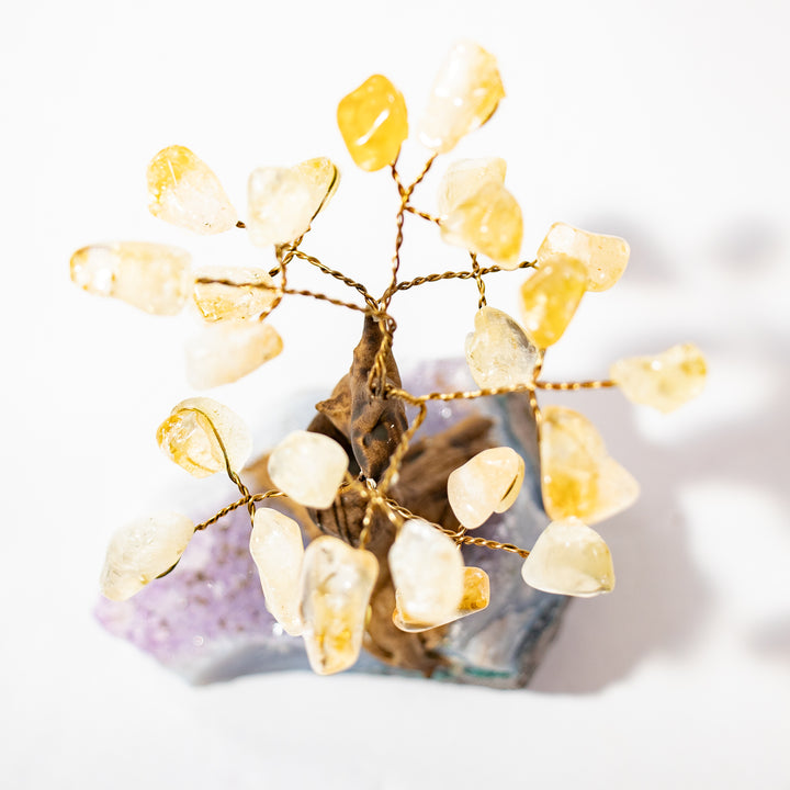 Mini arbre à pierres précieuses en citrine avec base en améthyste – 10 à 12 cm