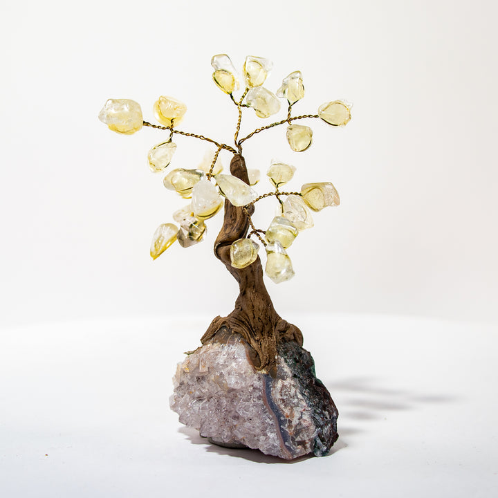 Bonsái de cuarzo transparente con base de amatista (10 a 12 cm)