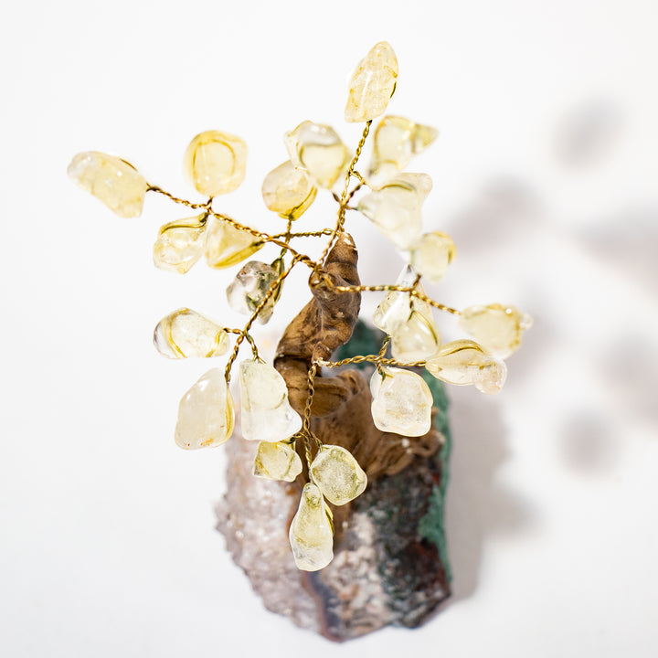 Bonsái de cuarzo transparente con base de amatista (10 a 12 cm)