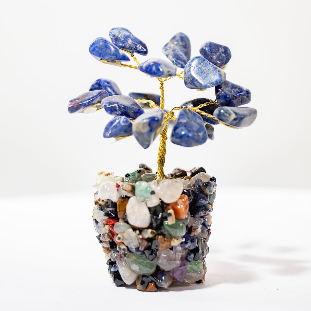 Árbol de sodalita con base de piedra natural (7,62–10,16 cm)