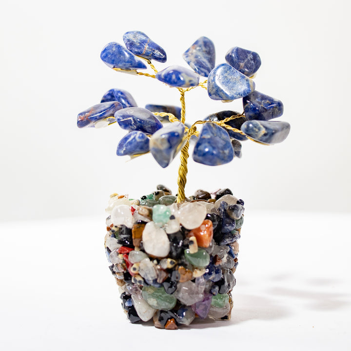 Árbol de sodalita con base de piedra natural (7,62–10,16 cm)