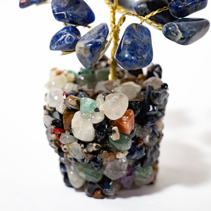 Árbol de sodalita con base de piedra natural (7,62–10,16 cm)