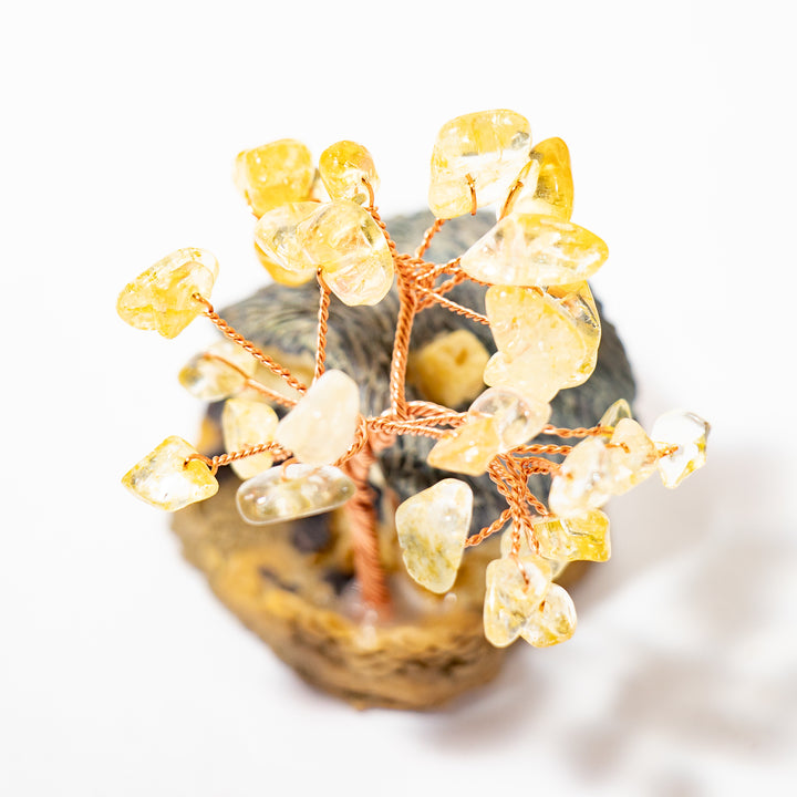 Mini Citrine Gemstone Bonsai Tree – 2”–3”