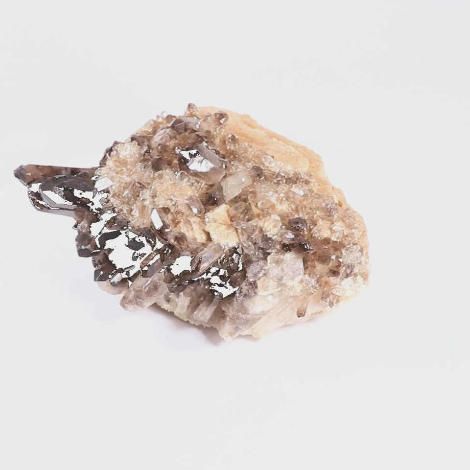 Smoky Quartz Cluster with Sandstone Matrix – (6.6 lbs)