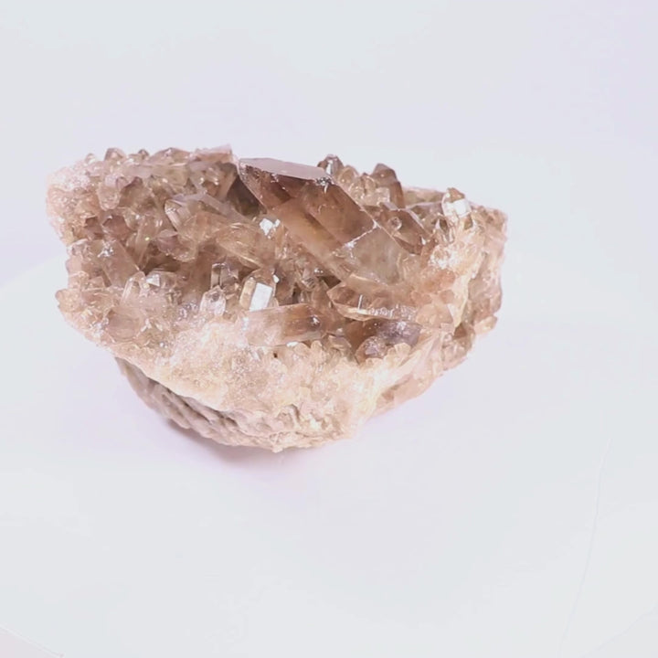 "Titan Root" – Smoky Quartz Cluster for Grounding & Protection (12.2 lbs)