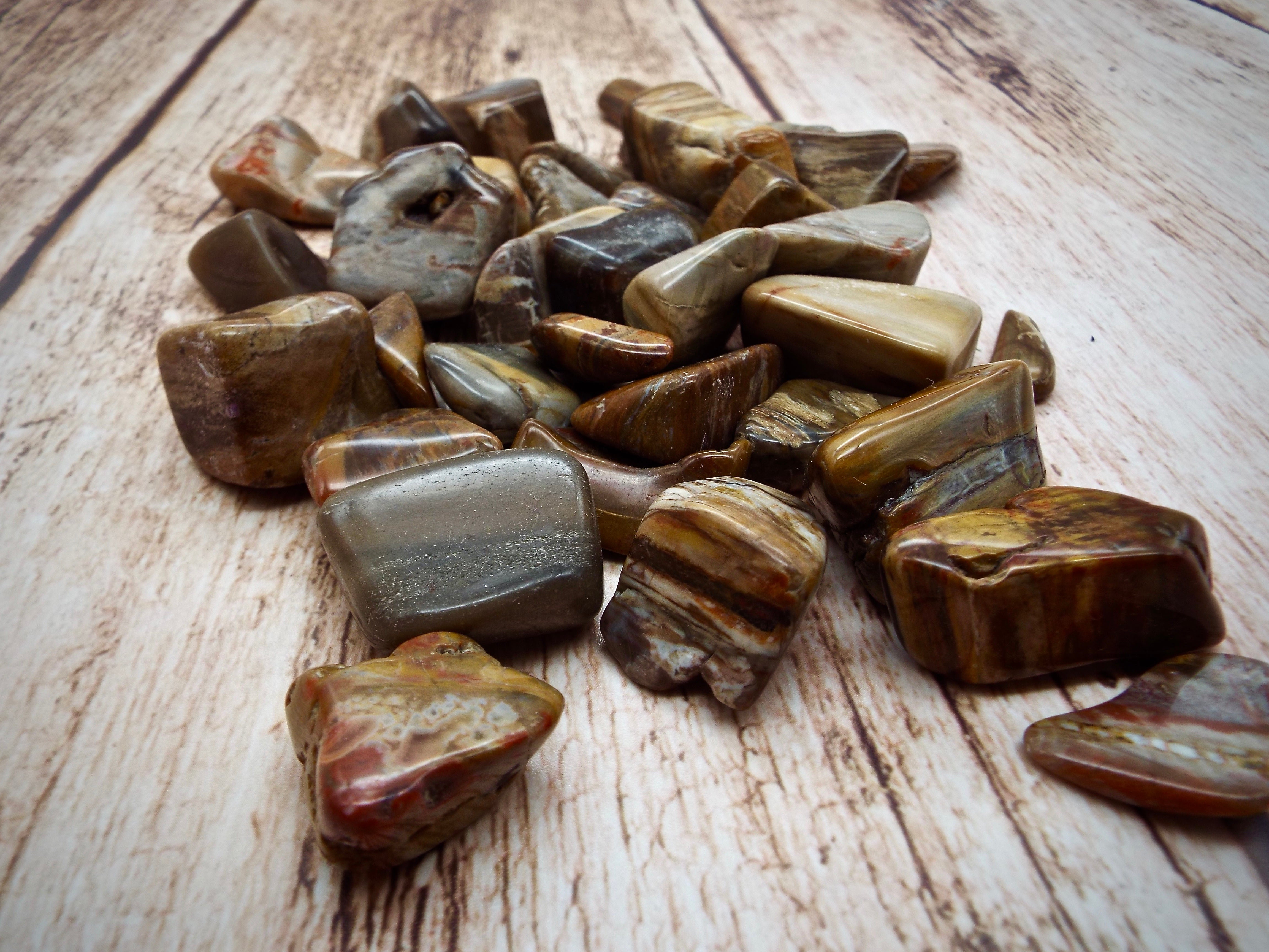 Petrified wood – Stoneage Natural Rocks