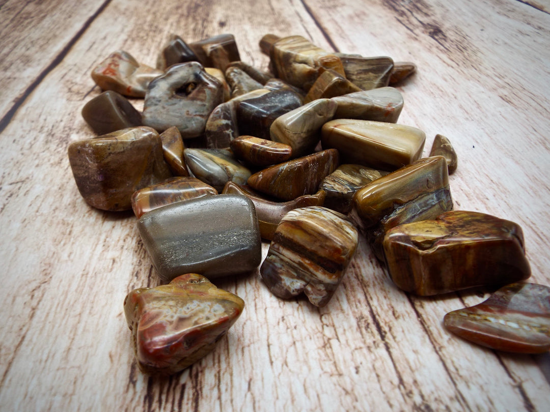 Petrified wood