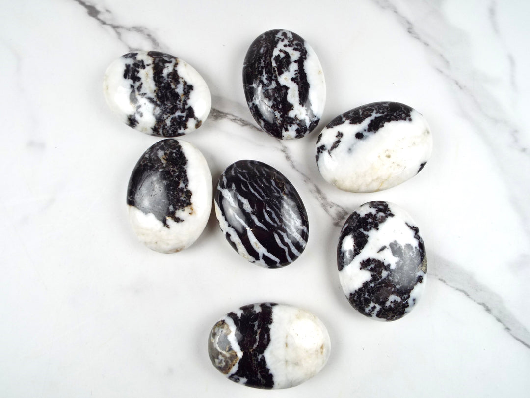 Zebra Jasper