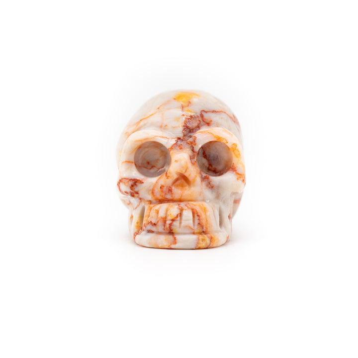 Natural Net Stone Crystal Skull – Grounding Energy, Courage & Wisdom