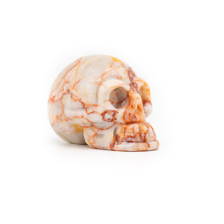 Natural Net Stone Crystal Skull – Grounding Energy, Courage & Wisdom