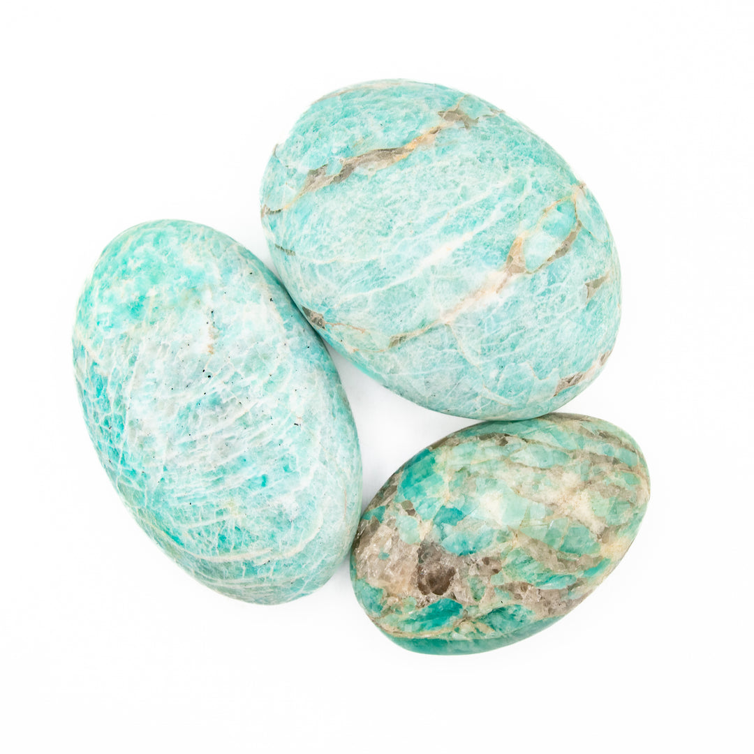 Pierre de palmier amazonite naturelle - Cristal de guérison poli, pierre précieuse de thérapie ovale