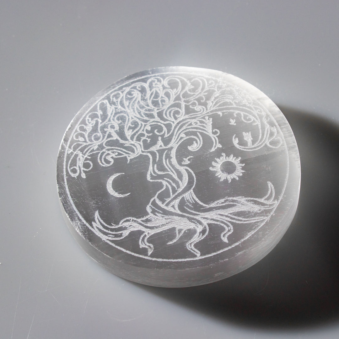 Plaque de charge ronde gravée en sélénite naturelle, arbre de vie, 7,6 cm, cristal de sélénite, pierre de guérison purifiante et rechargée
