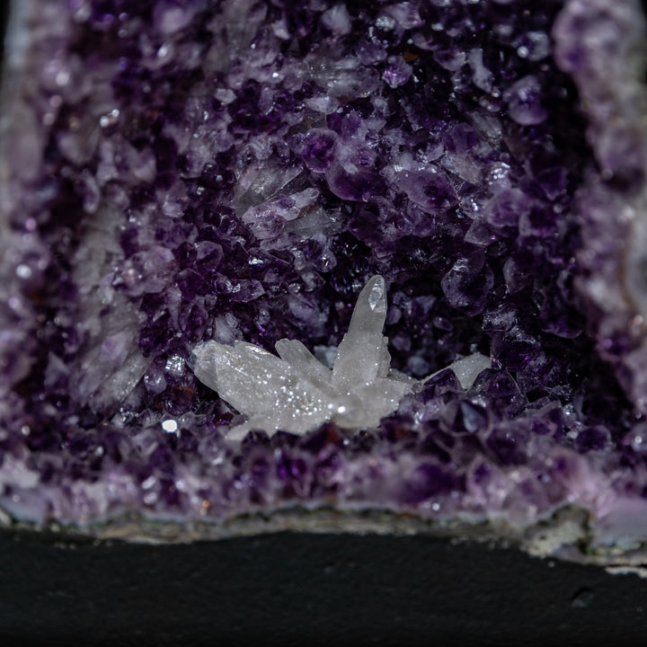 Amethyst Cathedral with Rare Calcite Flower 8.5kg – High-Energy Statement Specimen