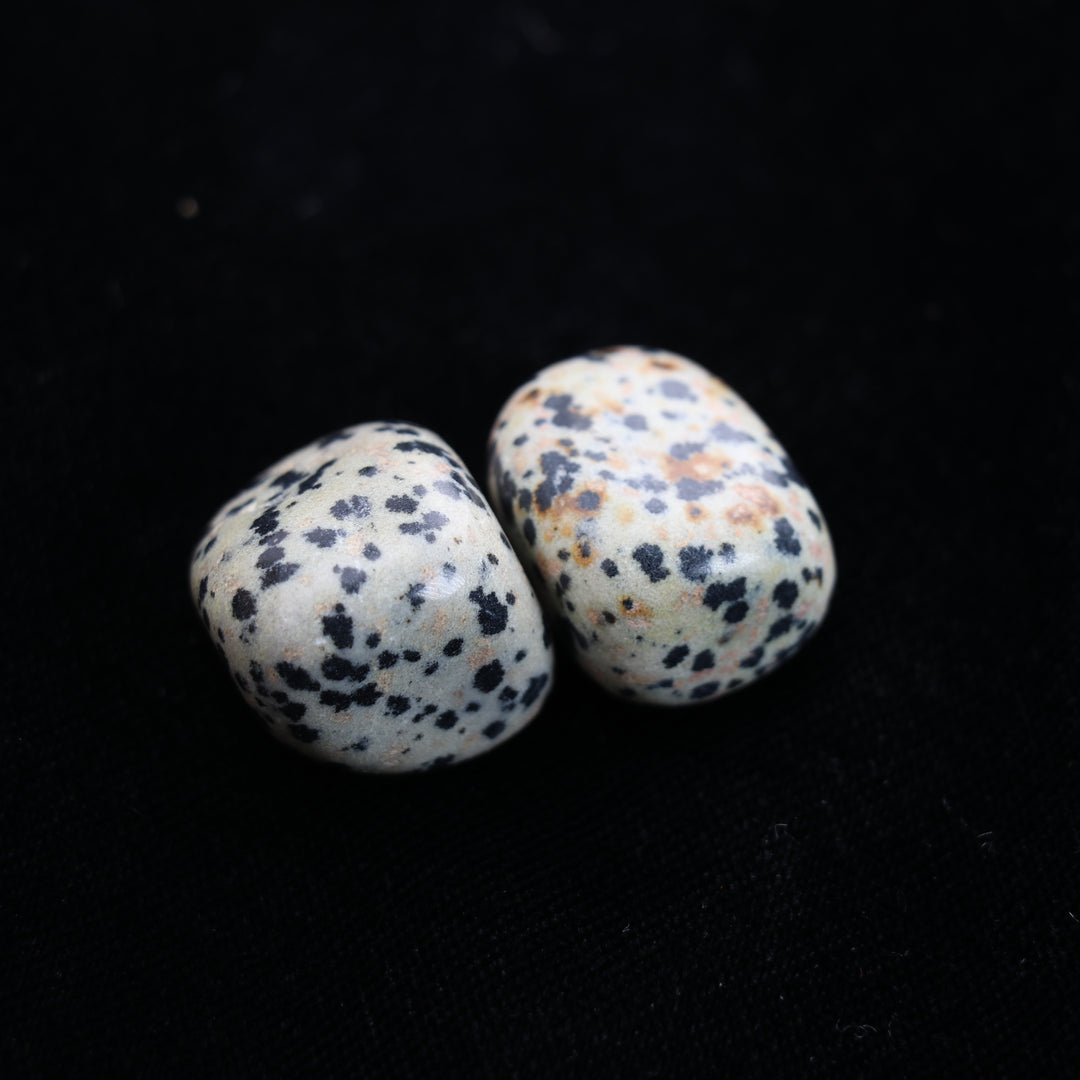 Natural Dalmatian Jasper Tumbled Stone - Polished Crystals for Positive Vibes & Style