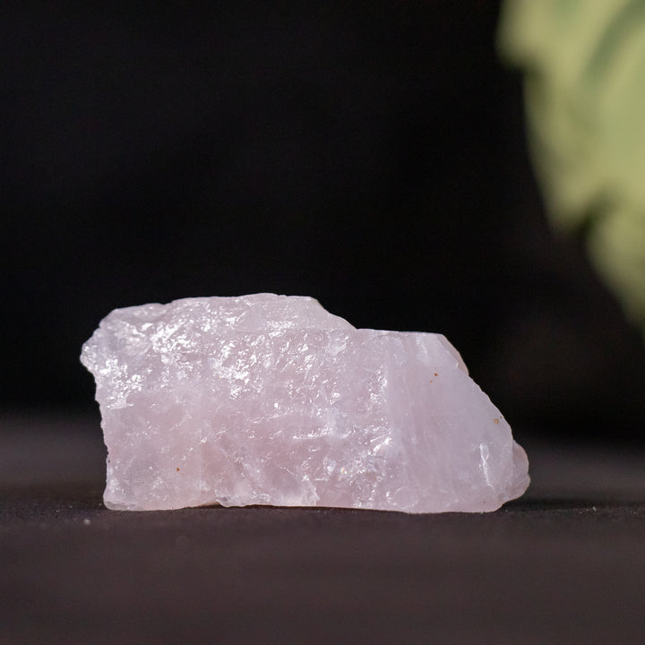 Rose Quartz Rough Crystals | Love & Emotional Healing