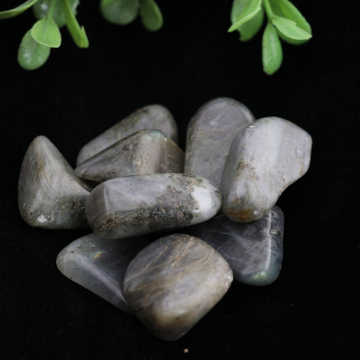 Natural Labradorite Tumbled Stone - Polished Gems for Spiritual Growth & Positive Vibes