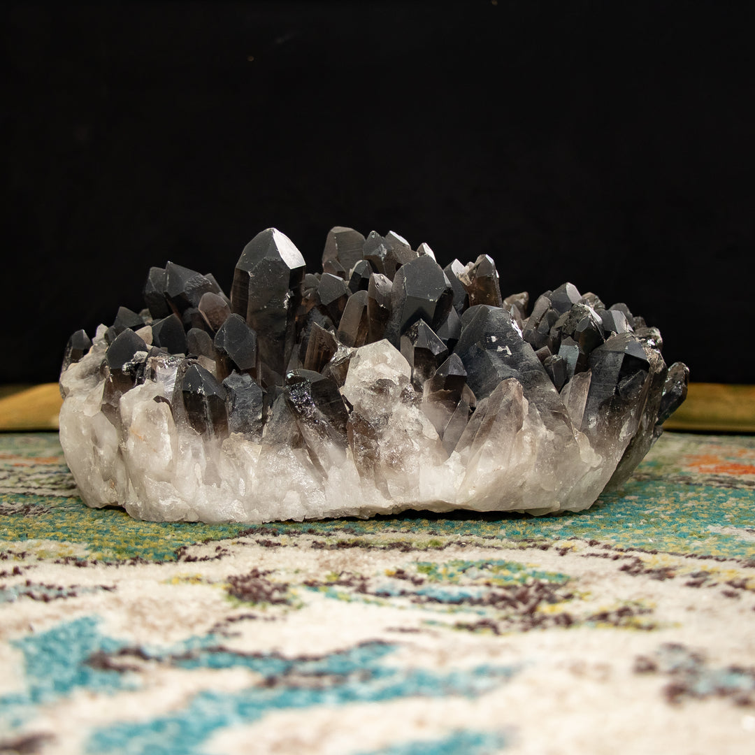 Raro racimo de cuarzo ahumado “Trono de obsidiana” – 23 lb