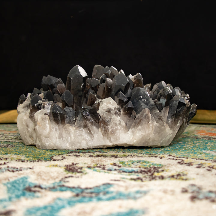 Raro racimo de cuarzo ahumado “Trono de obsidiana” – 23 lb