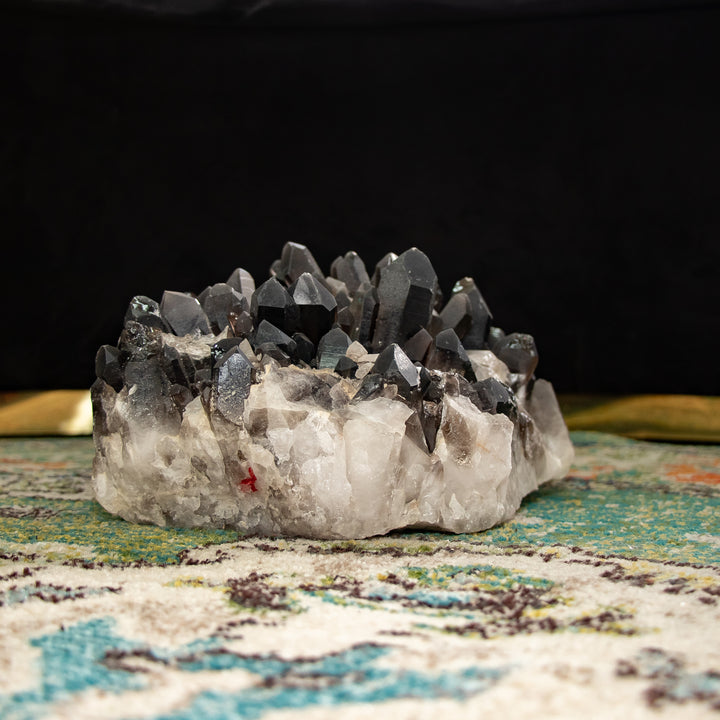 Raro racimo de cuarzo ahumado “Trono de obsidiana” – 23 lb