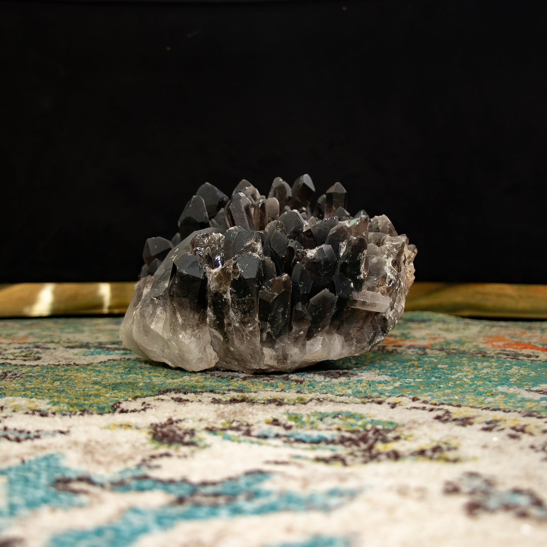 Raro racimo de cuarzo ahumado “Trono de obsidiana” – 23 lb