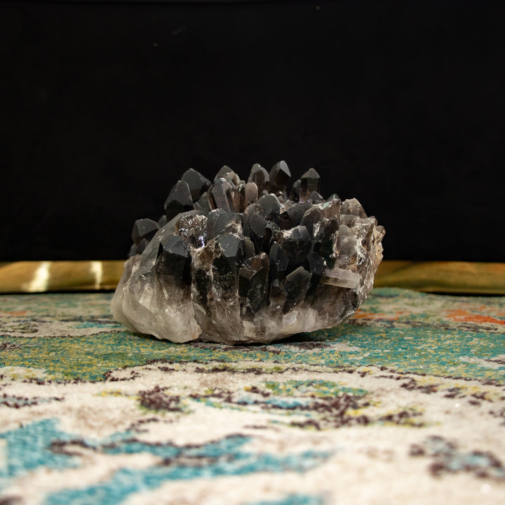 Raro racimo de cuarzo ahumado “Trono de obsidiana” – 23 lb