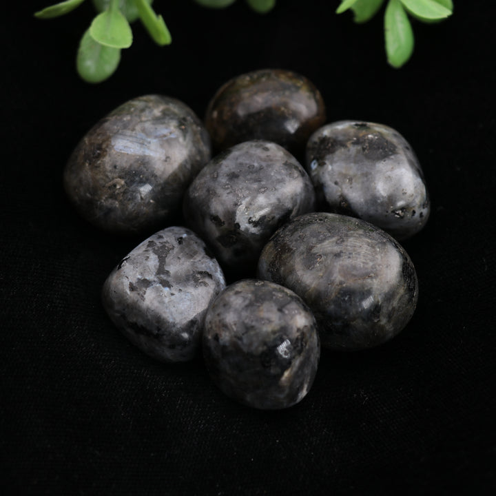 Natural Larvikite Tumbled Stone - Polished Gems for Spiritual Balance & Stylish Décor