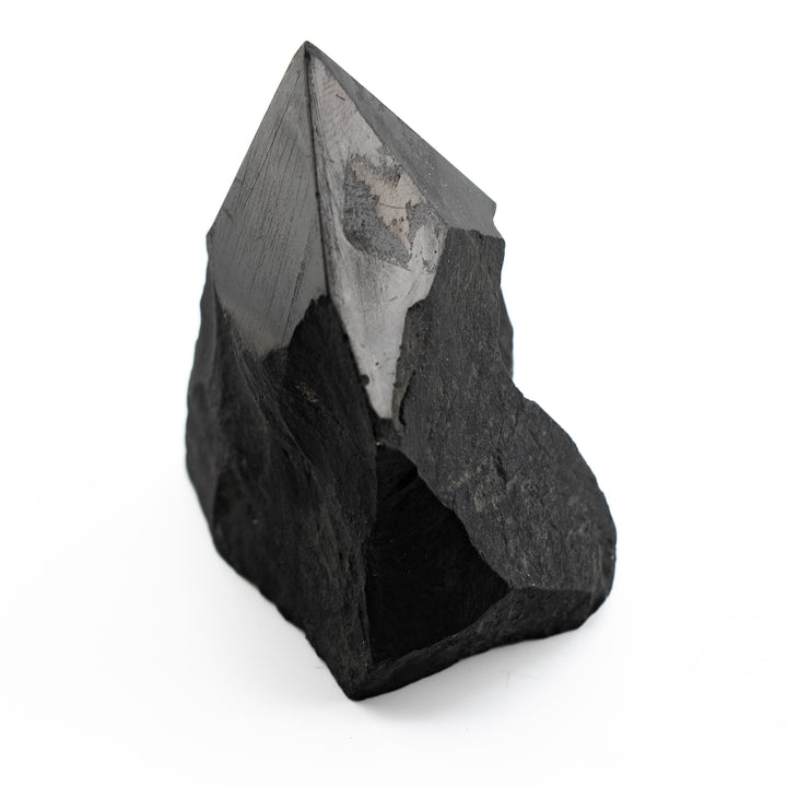 Shungite Power Point – Protection & Purification