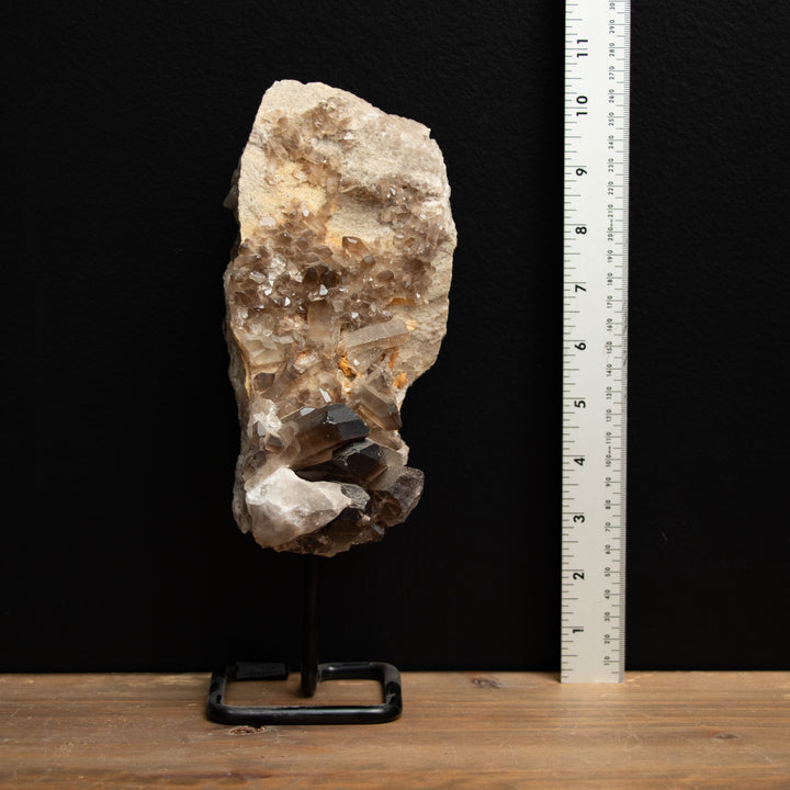 Distinctive Smoky Quartz Crystal Cluster on Stand – 10" Natural Formation for Grounding, Protection & Energy Flow (1.78 kg)