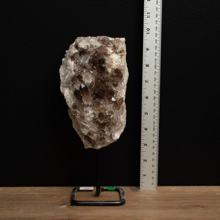 Smoky Quartz Crystal Cluster on Stand – 9.5" Naturally Formed Masterpiece for Grounding & Energy Protection (1.77 kg)