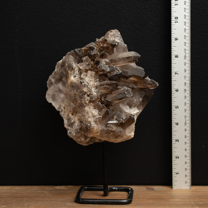 Rare Collector’s Smoky Quartz Cluster on Stand – 9" Statement Crystal for Energy Clearing & Grounding (2.46 kg)